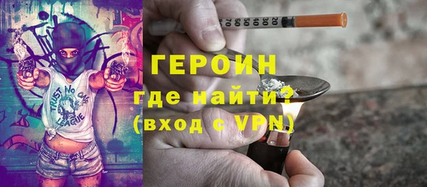 гидра Няндома