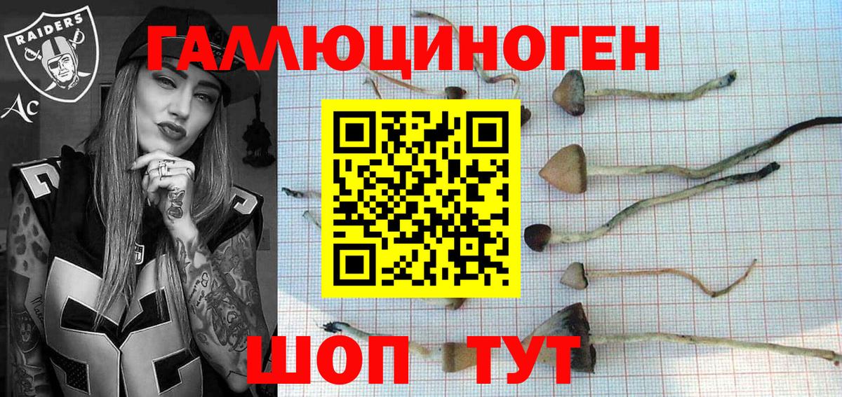 Севастополь  магазин продажи наркотиков  Вход с VPN  Галлюциногенные грибы ЛСД 